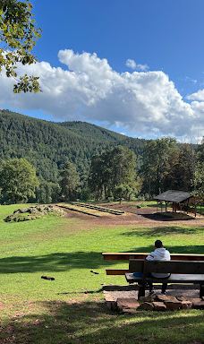 Südliche weinstraße wildlife park-南魏恩斯特拉瑟县