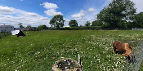 Red Mountain Open Farm