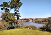 Galmpton Creek景点图片