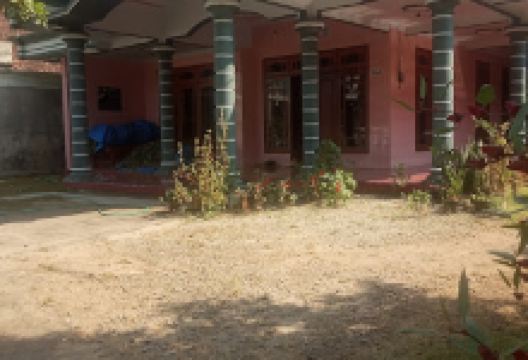 Masjid Baiturrahman Desa Ngrogung景点图片