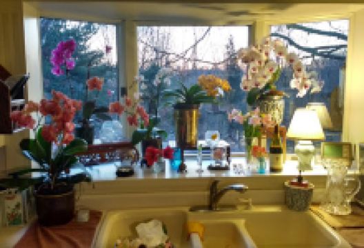 Kridler Gardens景点图片