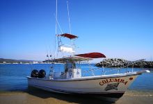 Turismo Nautico Columba's景点图片