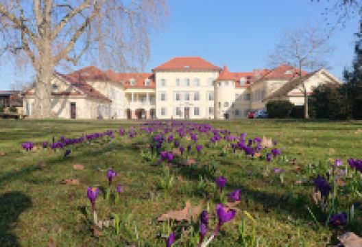 Schlosspark Neckarhausen景点图片