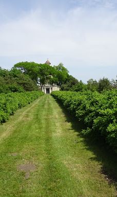 Wenckheim kripta és kápolna-贝凯什乔鲍伊区