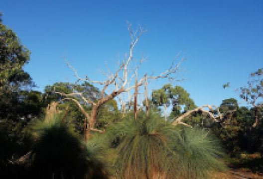 Basin Reserve景点图片