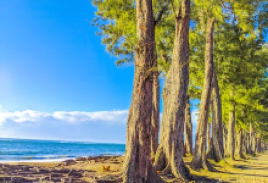 Plage Manakara景点图片