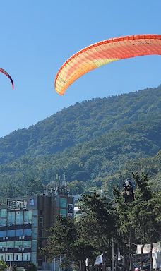Yeosu Paragliding-丽水