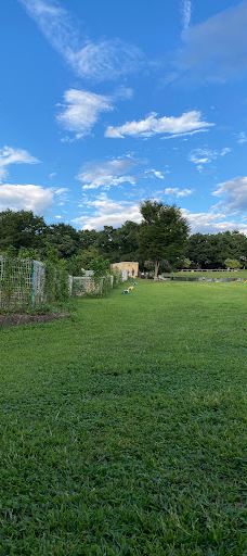 世界名犬牧场-前桥市