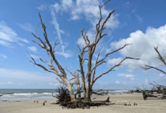 Bay Point景点图片