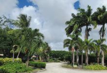 Graeme Hall Nature Sanctuary, Barbados景点图片