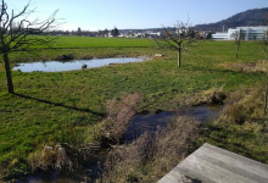 Biotop und Naturschutzgebiet景点图片