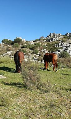 Cerro Venado-坦迪尔