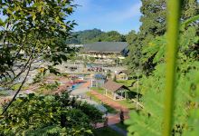 Kapit Lily Pond景点图片