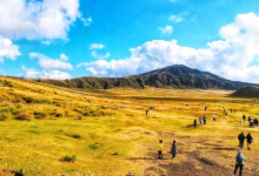 草千里（草千里之滨）景点图片