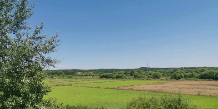 清源湖景區-農業觀光園
