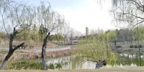 商丘人民公園