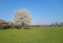 Sawley Park景点图片