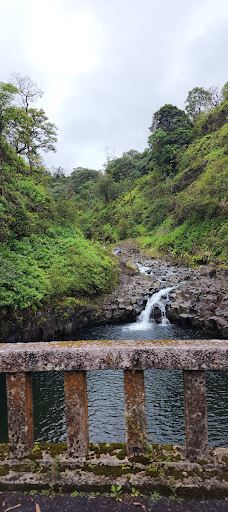 Ko'olau Forest Reserve-茂宜县
