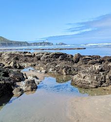 Oregon Coast Beach-纽波特