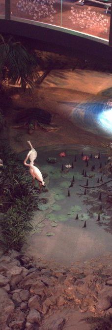 国油科学探索馆-吉隆坡