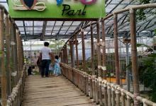 Palembang Bird Park景点图片