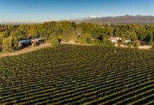 Bodega Hacienda del Plata景点图片