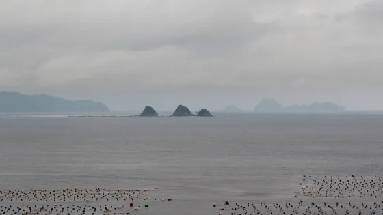 三ツ畑田島