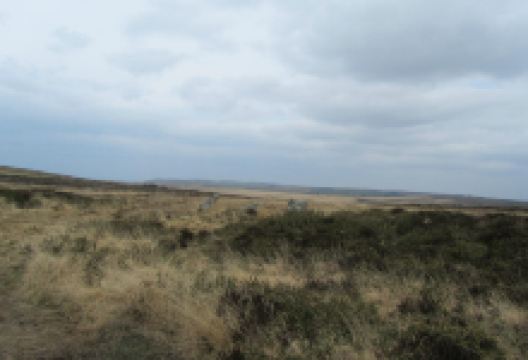 Nine Maidens景点图片