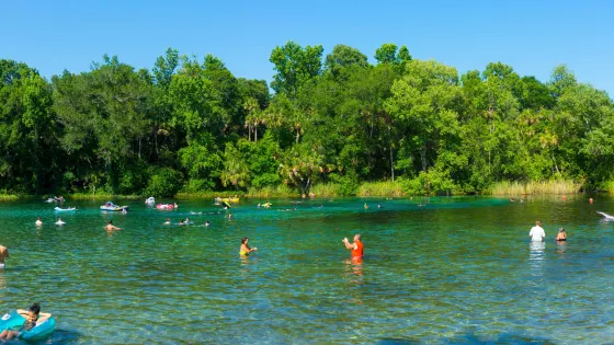 Alexander Springs