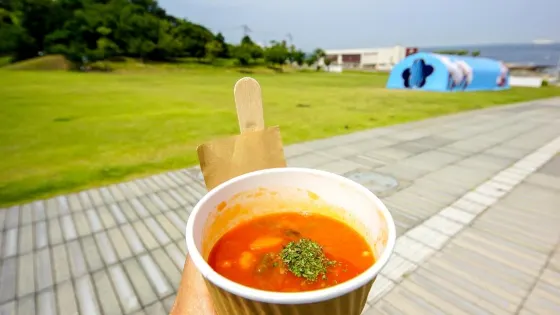 橫須賀美術館