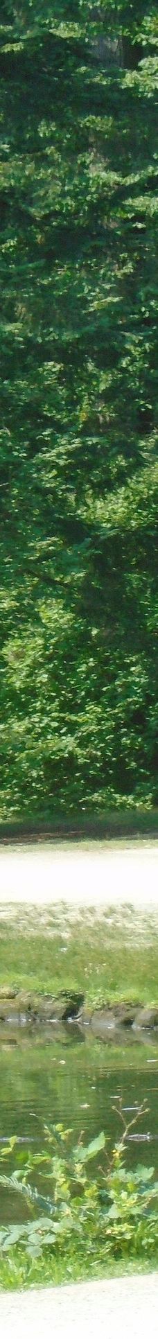 中央公园-本那比