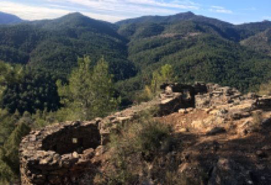 Civil War Trenches景点图片