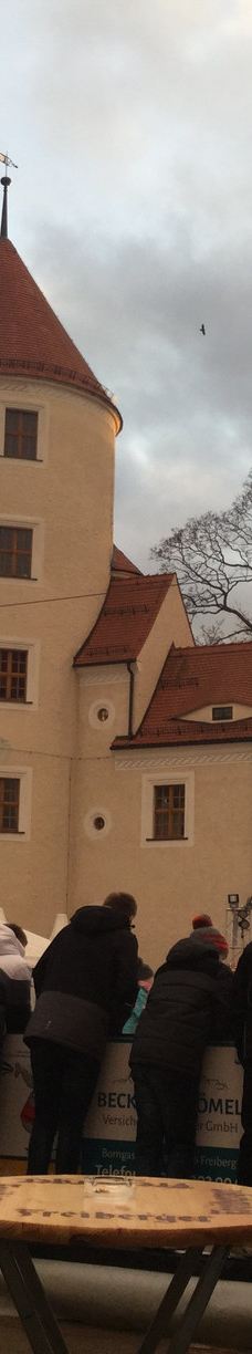 Schloss Freudenstein-弗莱贝格