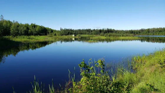 Wedgewood Wildlife Sanctuary