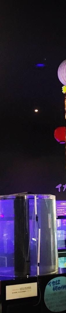 八户市水产科学馆Marient-八户