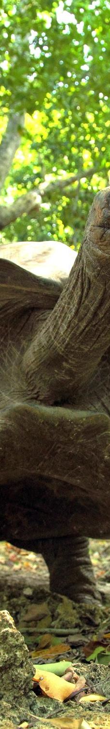 阿默斯福特动物园-阿默斯福特