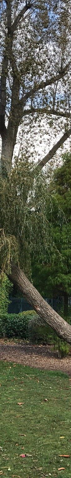 Ropner Park-蒂斯河畔斯托克顿