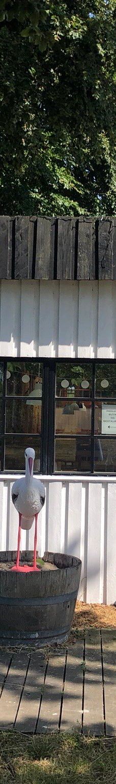 Vingaarden, Lille Gadegaard ( Vineyard )-阿克尔科拜