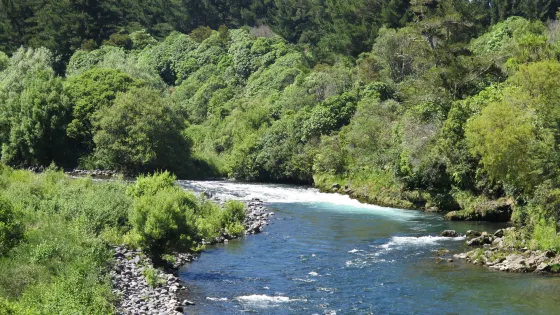 Tongariro River Trail