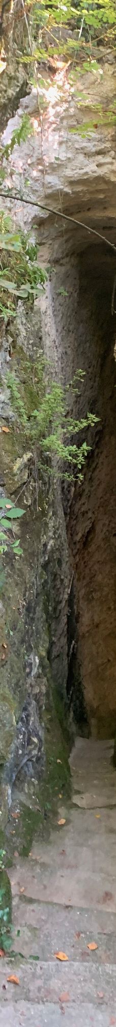 Ermitage Saint-Martial-吉伦特河畔莫尔塔涅