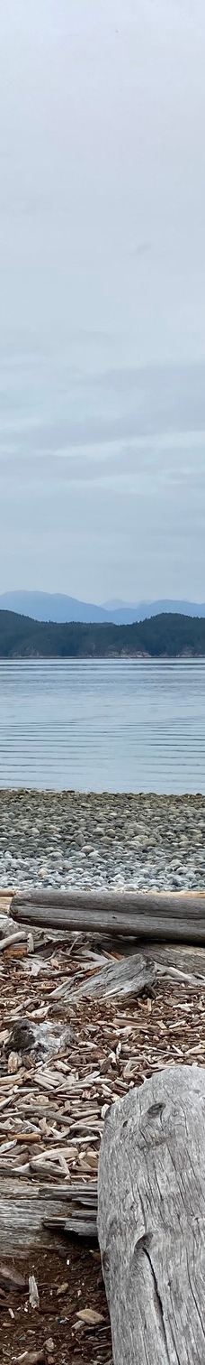 Rebecca Spit Marine Provincial Park-奎德拉岛