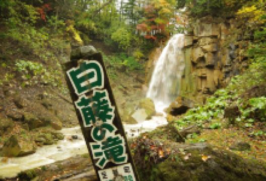白藤の滝景点图片