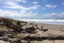 Gleneden Beach State Park景点图片