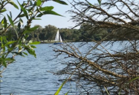 Etang du Vignoble景点图片