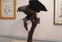 Turner Sculpture景点图片