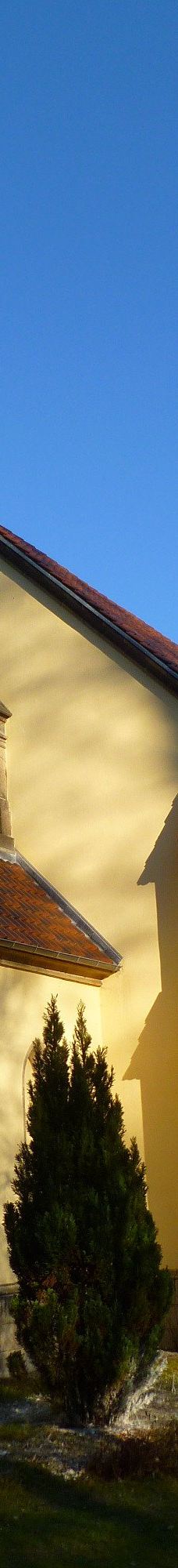 Tiergehege Waldhaus-莫尔斯多夫-泰希沃尔夫拉姆斯多夫