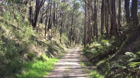 Crossover Regional Park