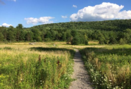 Roy H Park Preserve - North (Short) Trail景点图片