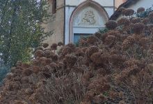 Villa Soley景点图片