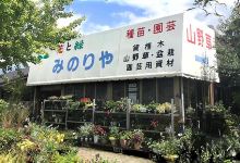 みのりや種苗園芸购物图片